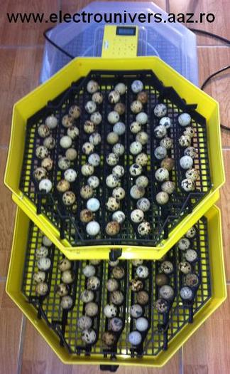 incubator prepelita; Acesta este incubatorul cu mecanisme de intoarcere oua medii cu extensie ( adica un etaj suplimentar
