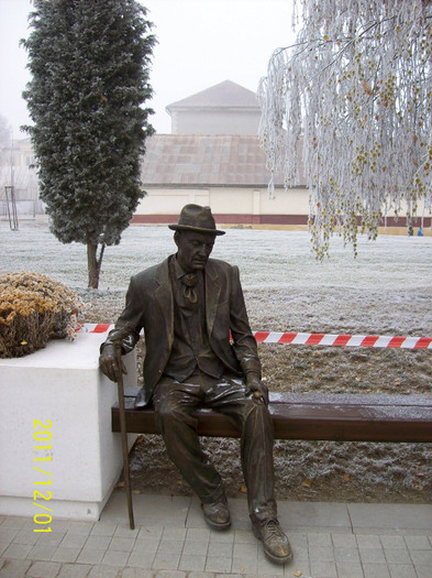 DUMNEATA  DE  CE  NU  PARTICIPI  LA  FESTIVITATILE TINUTE DE ZIUA  NATIONALA A ROMANIEI... - ALBA IULIA 1 DECEMBRIE 2011