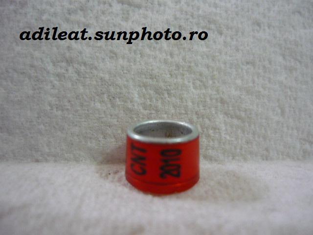 RO-2010-CNT - 5-ROMANIA-CNT-ring collection