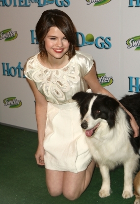 normal_060 - Hotel For Dogs Premiere