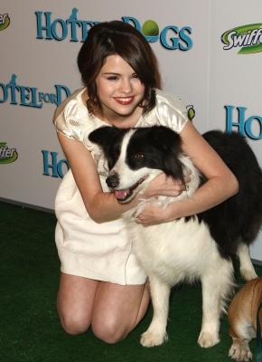 normal_062 - Hotel For Dogs Premiere