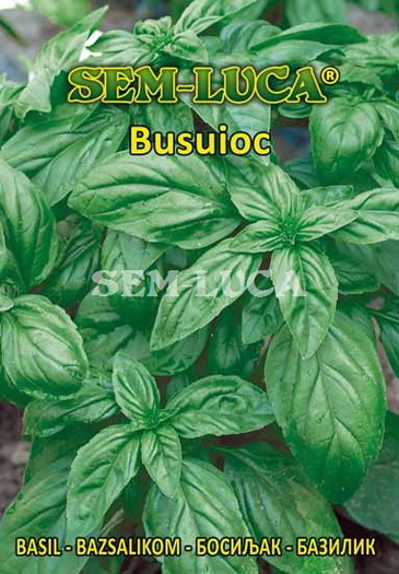 Busuioc