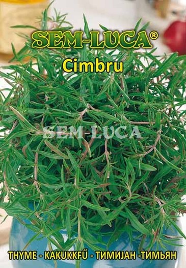 Cimbru