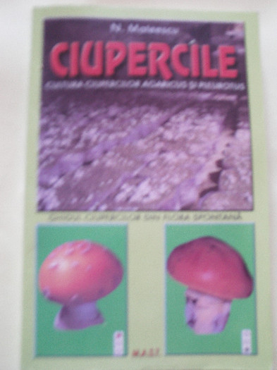 Ciupercile