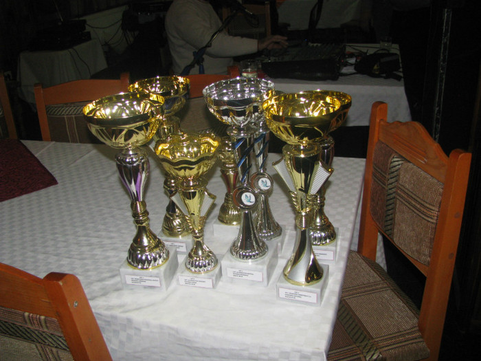 Trofeele; Tandemului Musescu-Soceanu;11 trofee pt.loc 1-3
