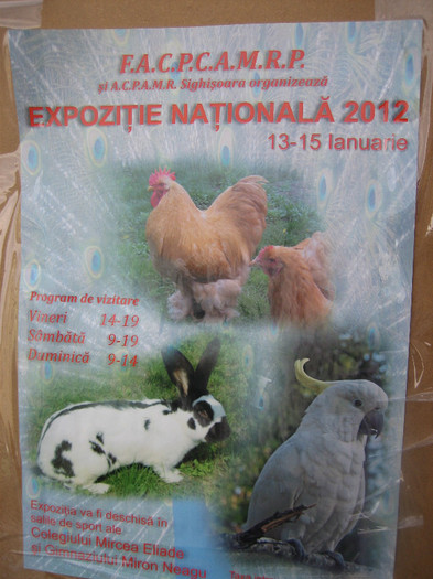 Expo Sighisoara 2012 003