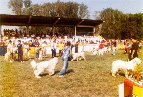 mangalia 2002 13