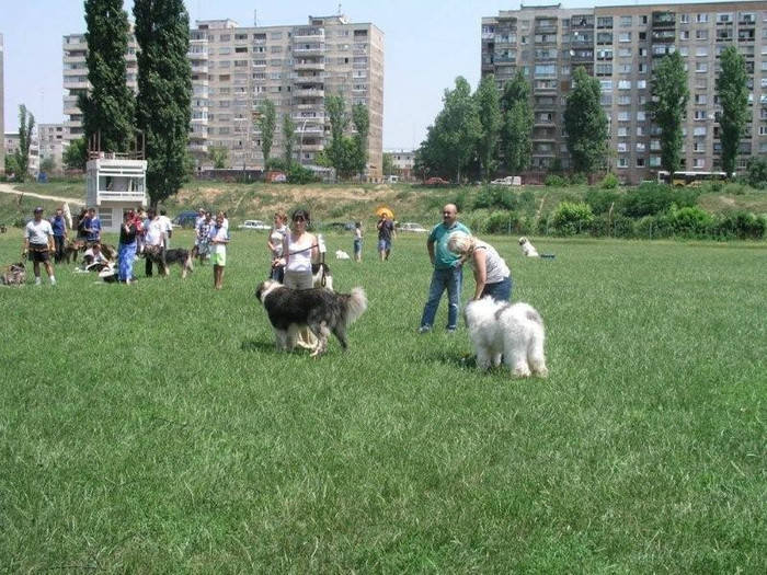 olimpia 49 - O-Bucuresti-Olimpia 2003