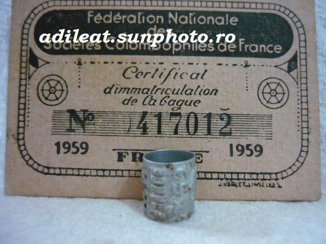 FRANTA-1959 - FRANTA-ring collection