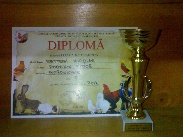 19012012856 - cupe si diplome