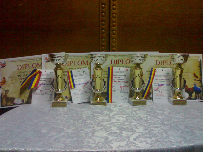 19012012849 - cupe si diplome