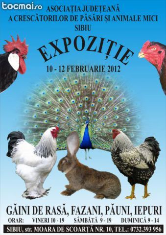 gaini expozitie 2012