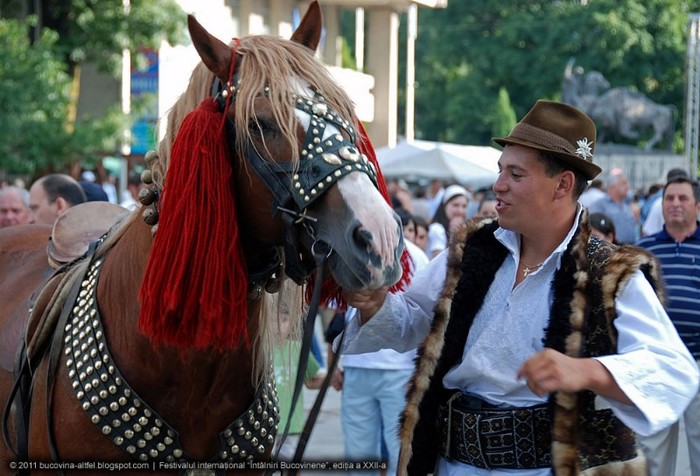 004 - BUCOVINA COLT DE RAI