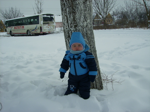 P2010118 - IARNA FEBRUARIE 2012 AN JIMBOLIA FAMILEA MEA