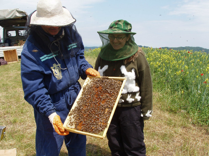 Apis  2009  iunie pastoral a; Estera & Dumitru Nistor apicultori in inspectie...
