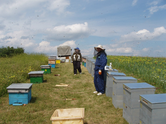 Apis  2009  iunie pastoral c; Estera & Dumitru Nistor apicultori in inspectie...
