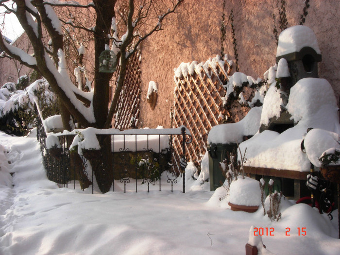 iarna feb 2012 (2)