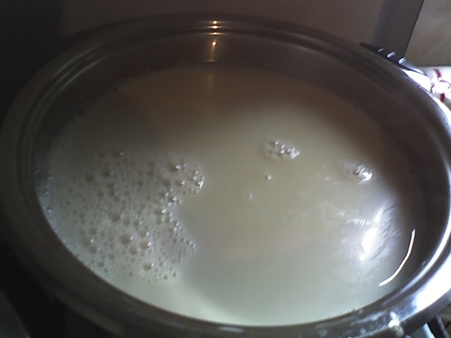 21-02-12_si gata laptele din soia numai bun de baut; gustul laptelui se inbunatateste adaugand putina sare, miere sau ulei esential de portocala

