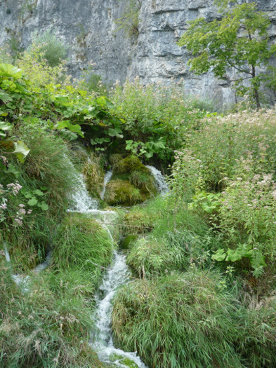 plitvice 121 - plitvice