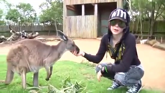 Avril Lavigne- At The Zoo (2011) 341