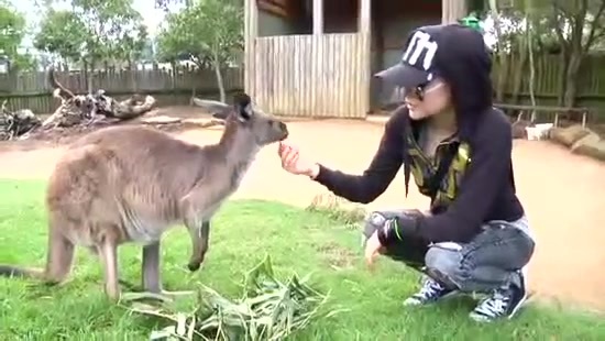 Avril Lavigne- At The Zoo (2011) 350 - Avril - Lavigne - At - ZOO - Video - Captures