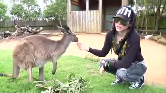 Avril Lavigne- At The Zoo (2011) 354