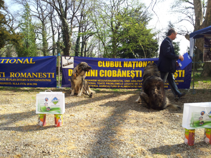 20120407_111013 - Bucuresti prezentare oficiala rase romanesti 2012