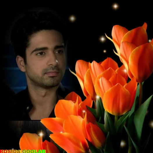 39356130353039966911510 - Avinash Sachdev