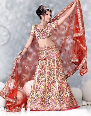 198818_10150269502698394_186537938393_7507235_5379301_n - lengha choli