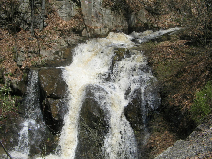 IMG_5957; Cascada Valea Neagră
