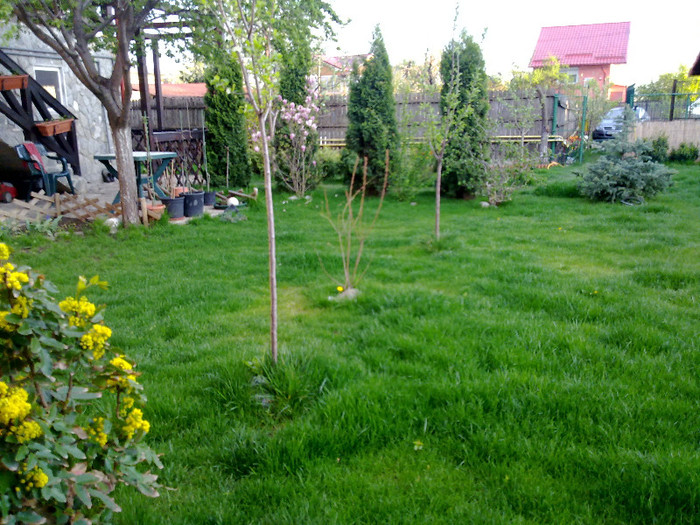 iarba verde de acasa
