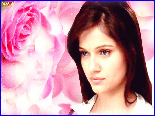 76-tile - RUBINA DILAIK NEW 2