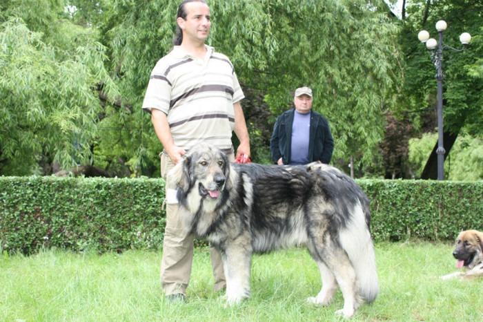 Bandit de Popa EXCELENT III CAC - Targoviste 20 05 2012