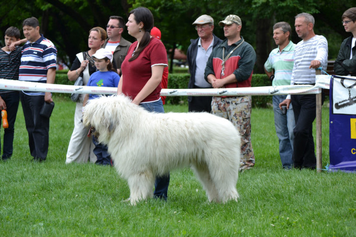 DSC_6423 - Targoviste 20 05 2012