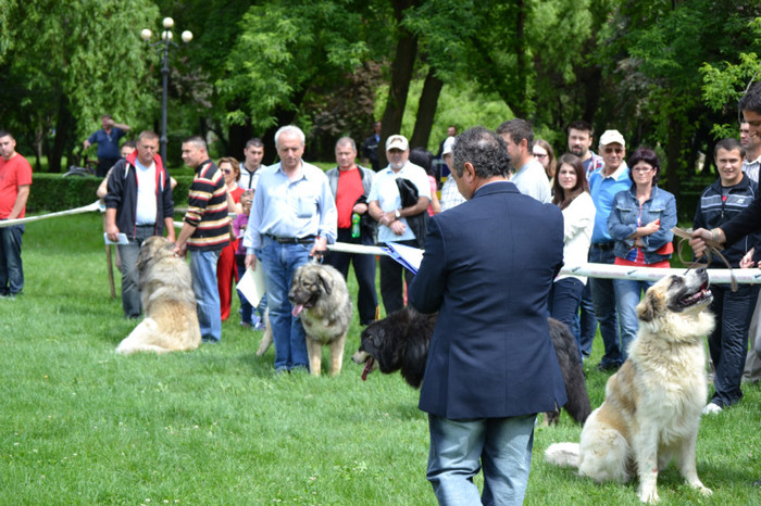 DSC_6378 - Targoviste 20 05 2012