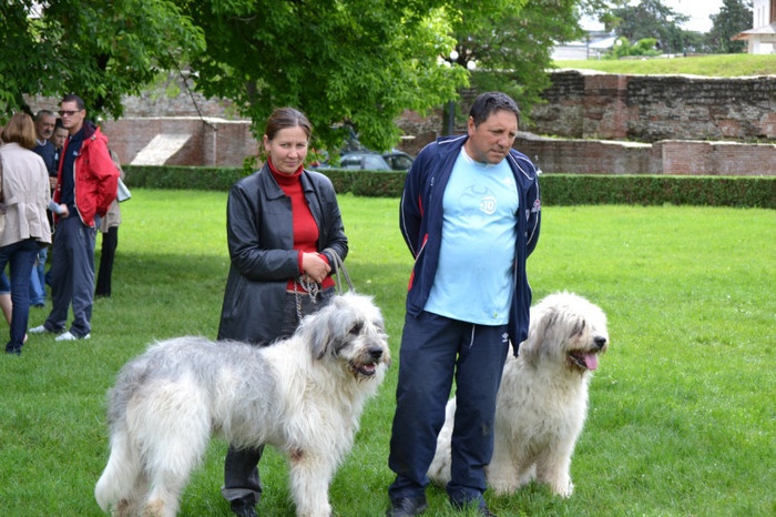 DSC_6382 - Targoviste 20 05 2012