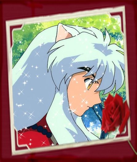 581073_370120439710838_711225272_n - Inuyasha imagini