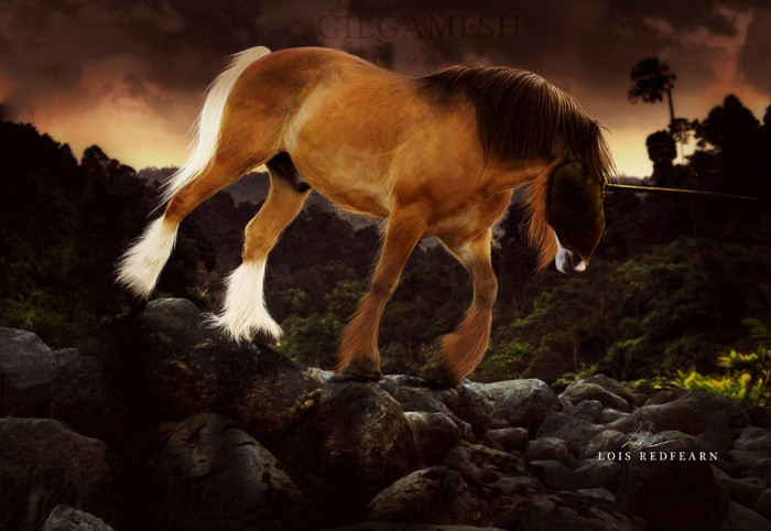 ess_2011___gilgamesh_by_imi_1o-d4ixovg - Horses