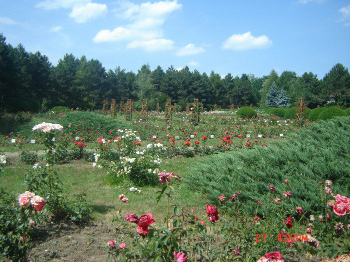 gb21 - gradina botanica din Iasi