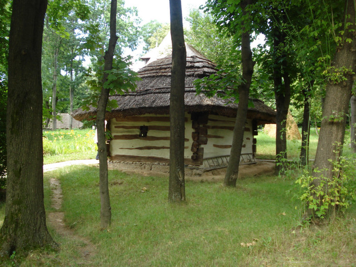 DSC05847 - Muzeul satului Bucuresti 2011