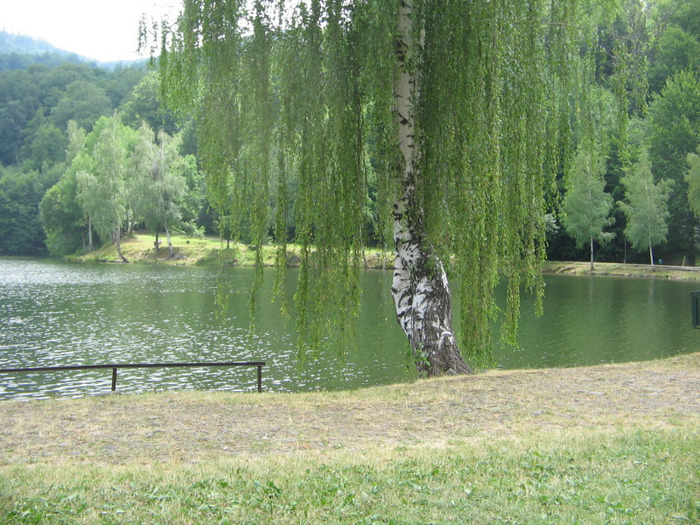 IMG_6326; Lacul Bodi,o destinaţie fără turişti, altădată un loc plin de viaţă.
