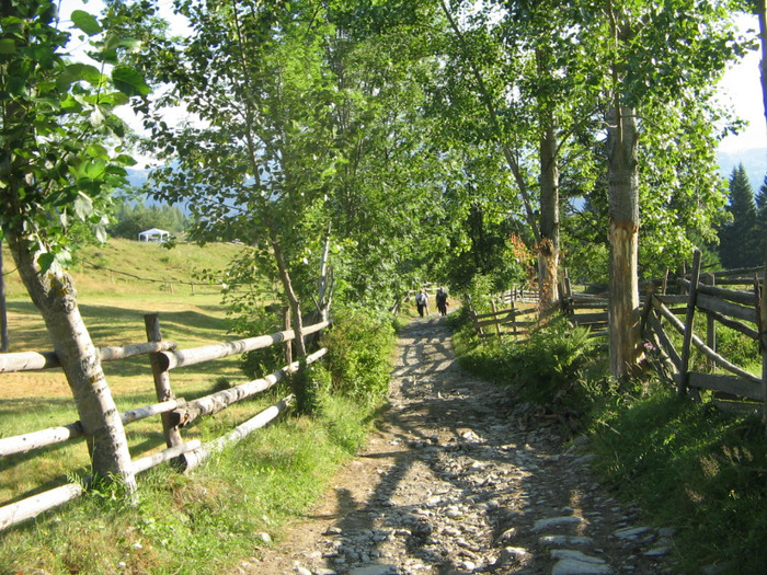 IMG_6430; Traseu spre Pietrosul, lăsăm încet în urmă corturile.
