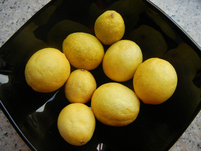 Lemons (2012, July 30)