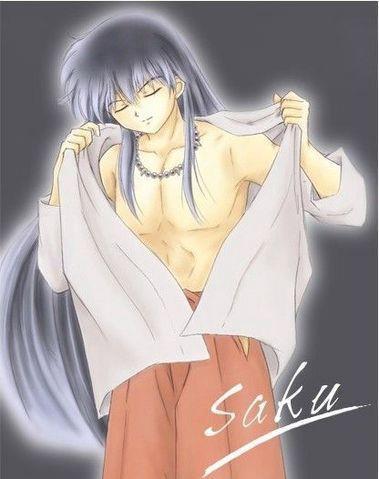 6 - Inuyasha imagini