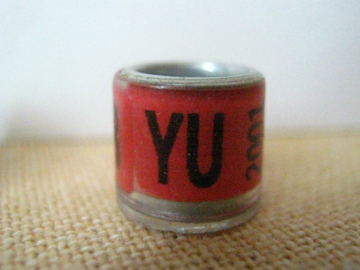 YU 2001