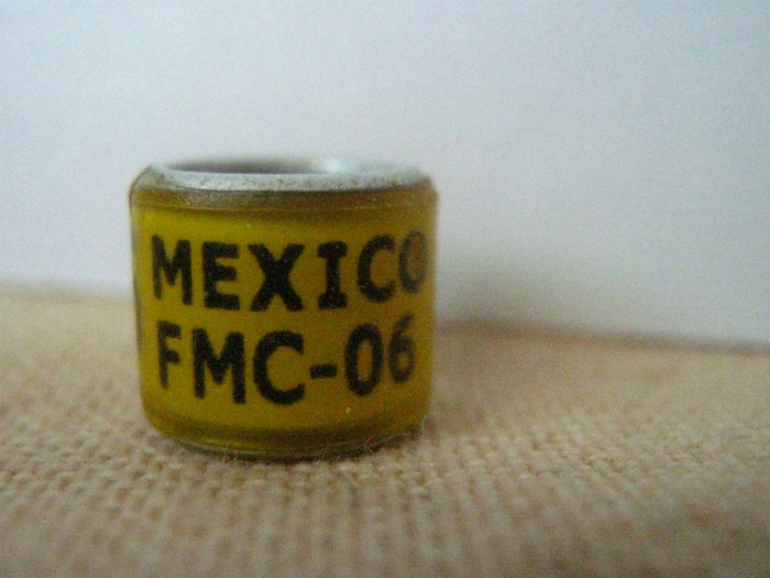 MEXICO FMC-06