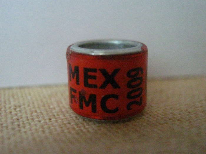 MEX FMC 2009