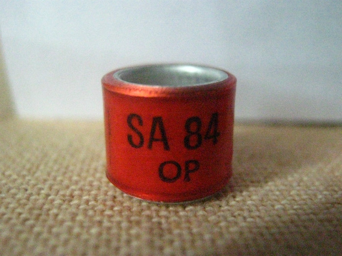 SA 84 OP