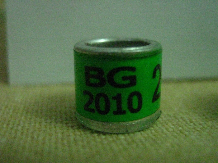 BG 2010