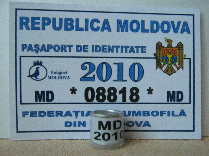 MD 2010